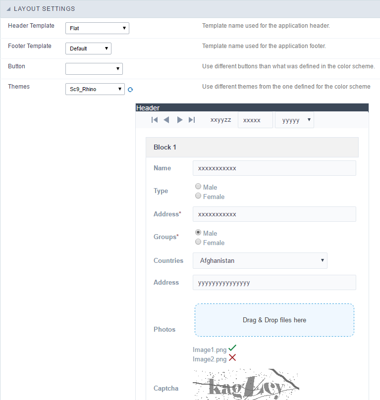 Application Display Theme Configuration